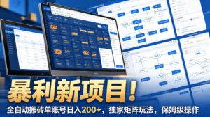 暴利新项目!全自动搬砖单账号日入200+,独家矩阵玩法,保姆级操作【揭秘】-聊项目