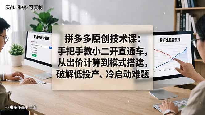 拼多多原创技术课：手把手教小二开直通车，从出价计算到模式搭建，破解低投产、冷启动难题-聊项目