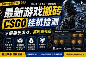 最新游戏搬砖，CSGO纯挂机，不需要玩游戏，实现真挂机，月入1W+，五一小高峰上车可吃肉，…-聊项目