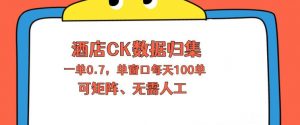 上班也能玩的酒店CK数据归集，一单0.7单窗口每天可做100单，一个人就能矩阵操作【揭秘】-聊项目