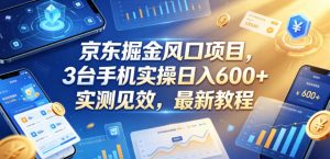 京东掘金风口项目，3台手机实操日入600+，实测见效，最新教程【揭秘】-聊项目