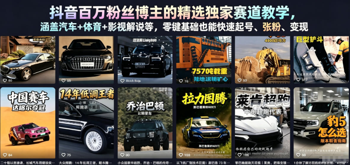 抖音百万粉丝博主的精选独家赛道教学，涵盖汽车+体育+影视解说等，零基础也能快速起号、涨粉、变现-聊项目