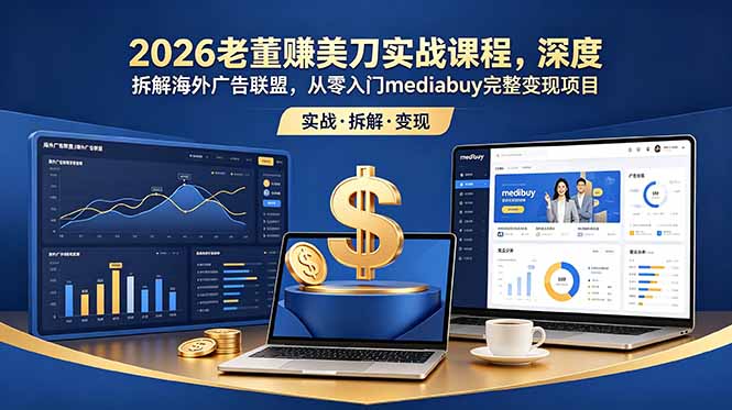 2026老董赚美刀实战课程，深度拆解海外广告联盟，从零入门mediabuy完整变现项目-聊项目