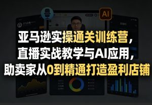 亚马逊实操通关训练营，直播实战教学与AI应用，助卖家从0到精通打造盈利店铺(更新6月18日)-聊项目