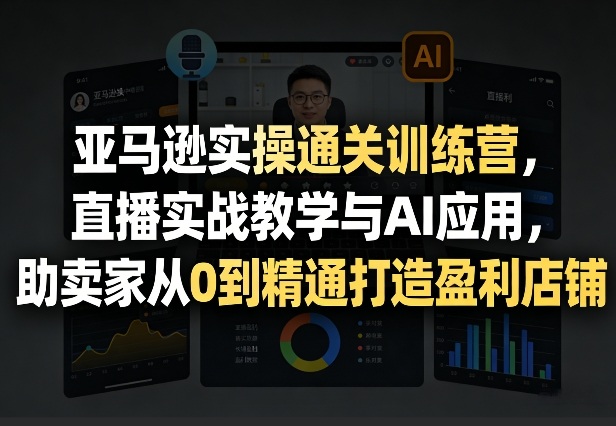亚马逊实操通关训练营，直播实战教学与AI应用，助卖家从0到精通打造盈利店铺(更新6月18日)-聊项目