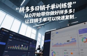 拼多多日销千单训练营，从0开始带你做好拼多多，让日销千单可以快速复制(更新26年6月)-聊项目